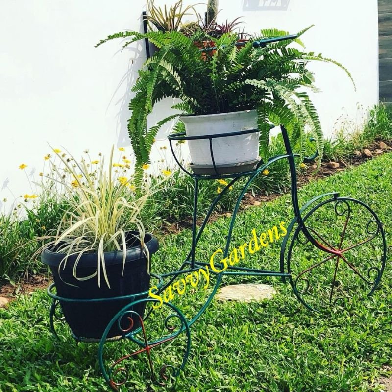 2-Pot Wrought Iron Bicycle Stand - Savvy Gardens Centre