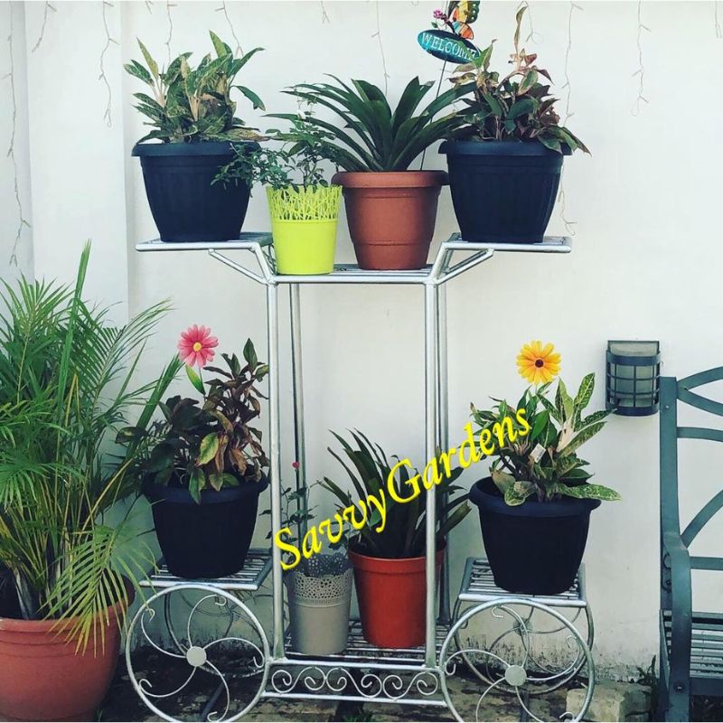 6 Tier Galvanised Iron Cart Plant Holder - Savvy Gardens Centre