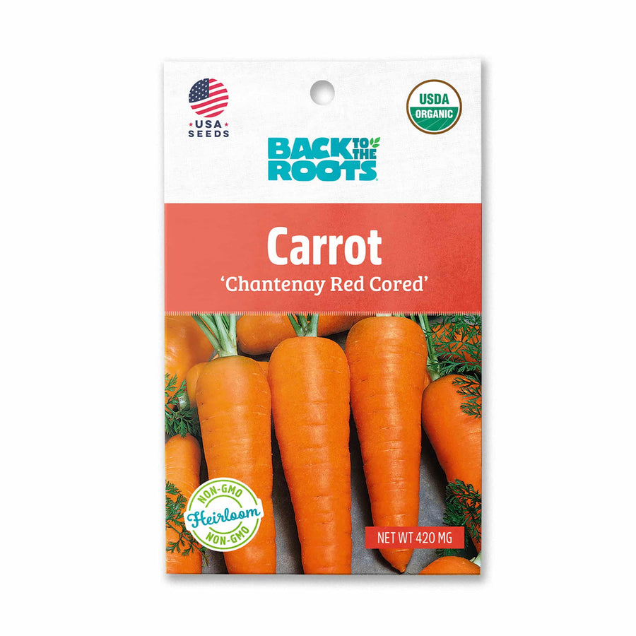 Back To The Root Carrot 'Chantenay Red Cored' - LGC