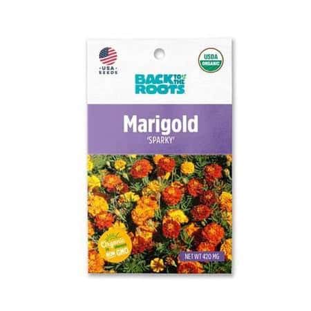 Back To The Root Marigold 'Sparky' - LGC