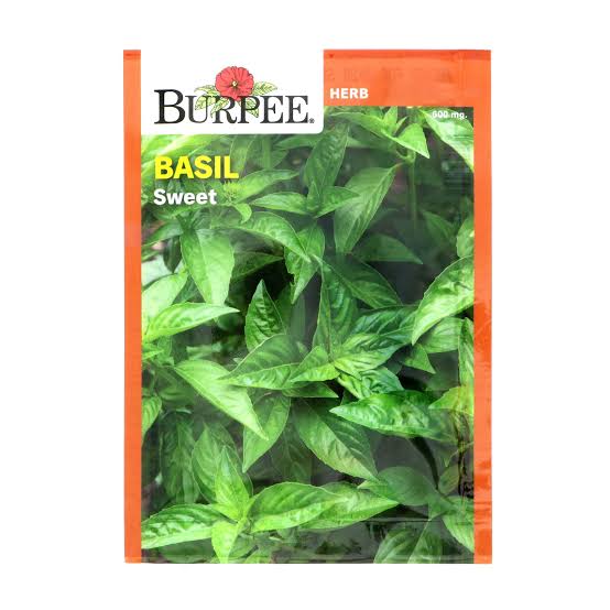 Burpee Basil 'Sweet' - LGC