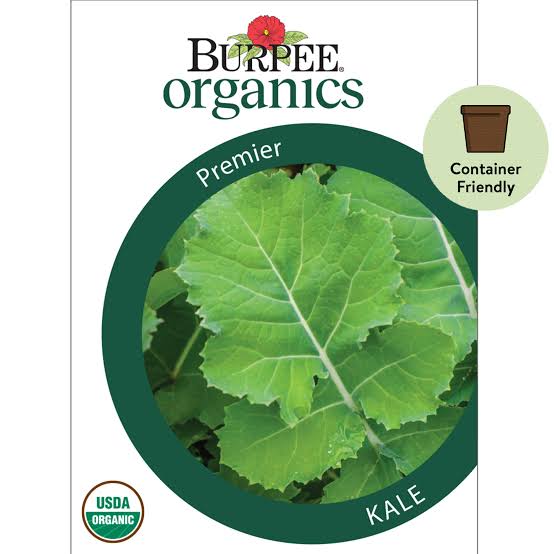 Burpee Kale 'Premier' - LGC