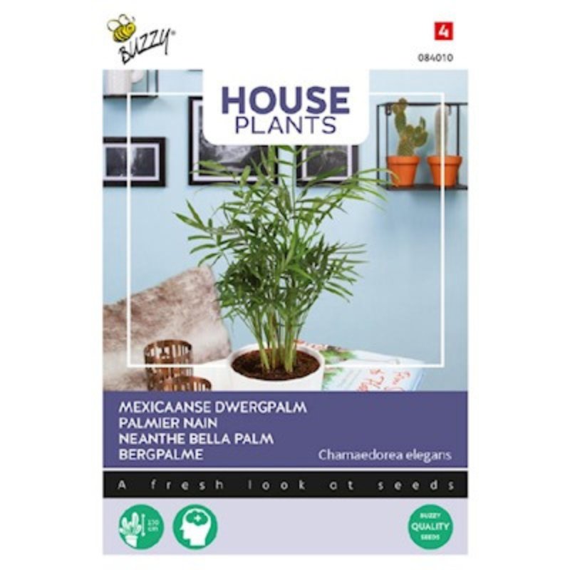Buzzy House Plants Neanthe Bella Palm - Savvy Gardens Centre