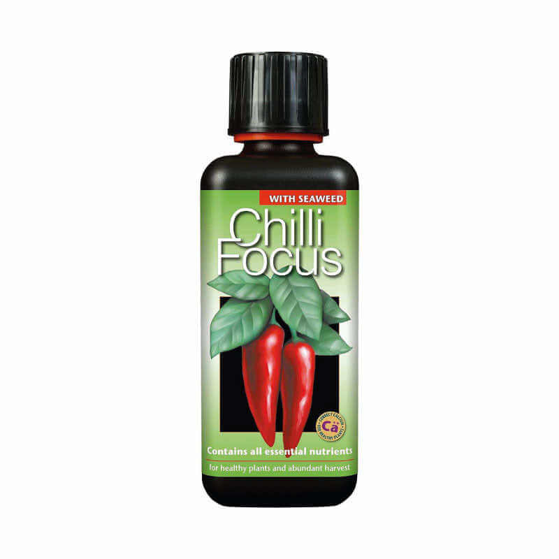 Chilli Focus 300ML - LGC