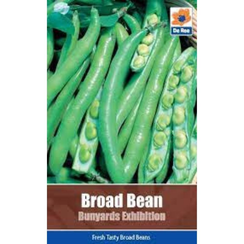 DE REE BROAD BEAN BUNYARDS EXHIBITION - Savvy Gardens Centre