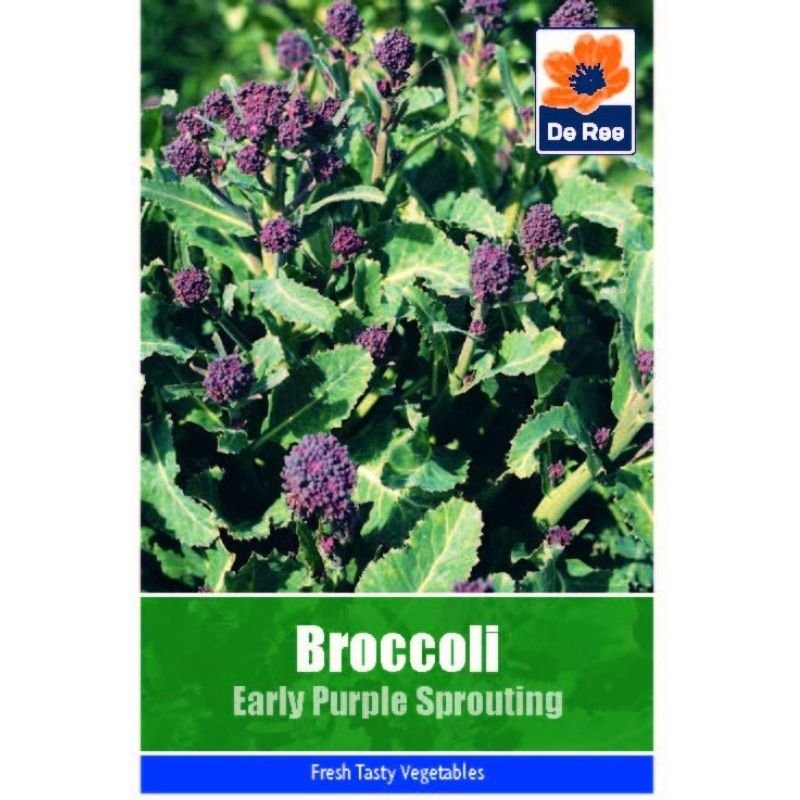 DE REE BROCCOLI EARLY PURPLE SPROUTING - Savvy Gardens Centre