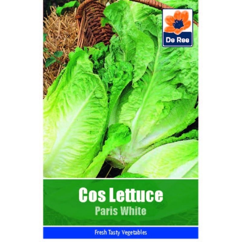 DE REE COS LETTUCE PARIS WHITE - Savvy Gardens Centre