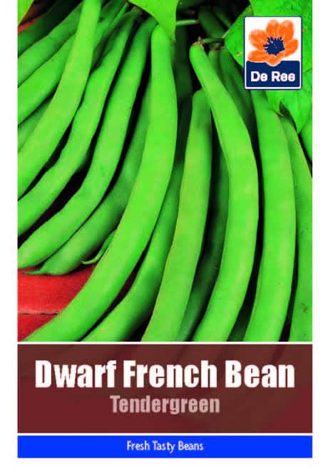 De Ree Dwarf French Bean Tendergreen - LGC