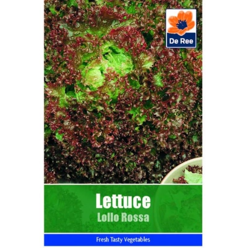 DE REE LETTUCE LOLLO ROSSA - Savvy Gardens Centre