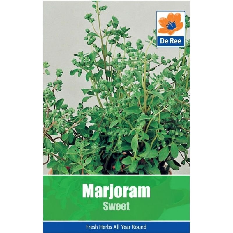 DE REE MARJORAM SWEET - Savvy Gardens Centre