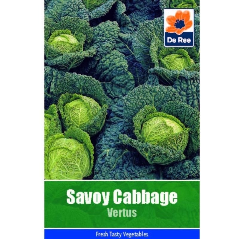 DE REE SAVOY CABBAGE VERTUS - Savvy Gardens Centre