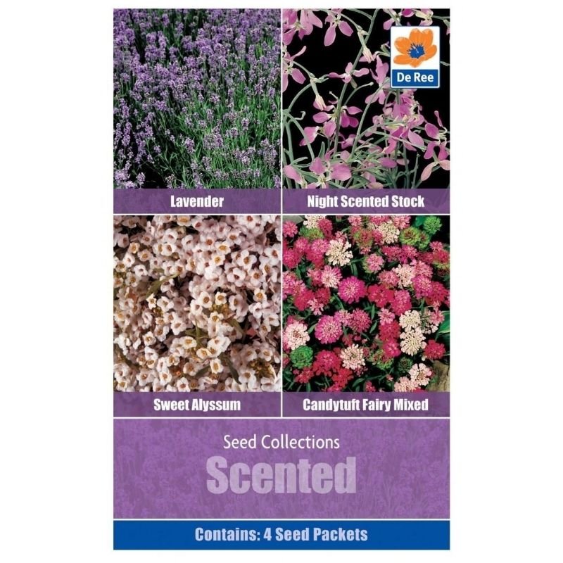 DE REE SEED COLLECTION SCENTED - Savvy Gardens Centre