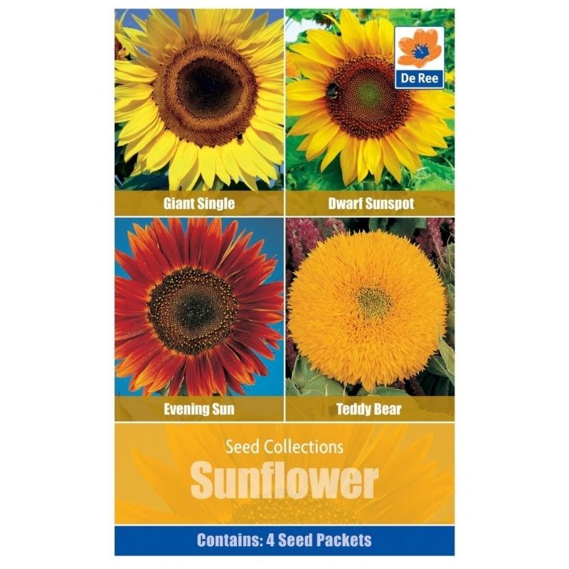 DE REE SEED COLLECTIONS SUNFLOWER - Savvy Gardens Centre