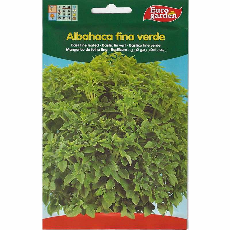 Euro Garden Basil Fine Leafed Seeds - LGC