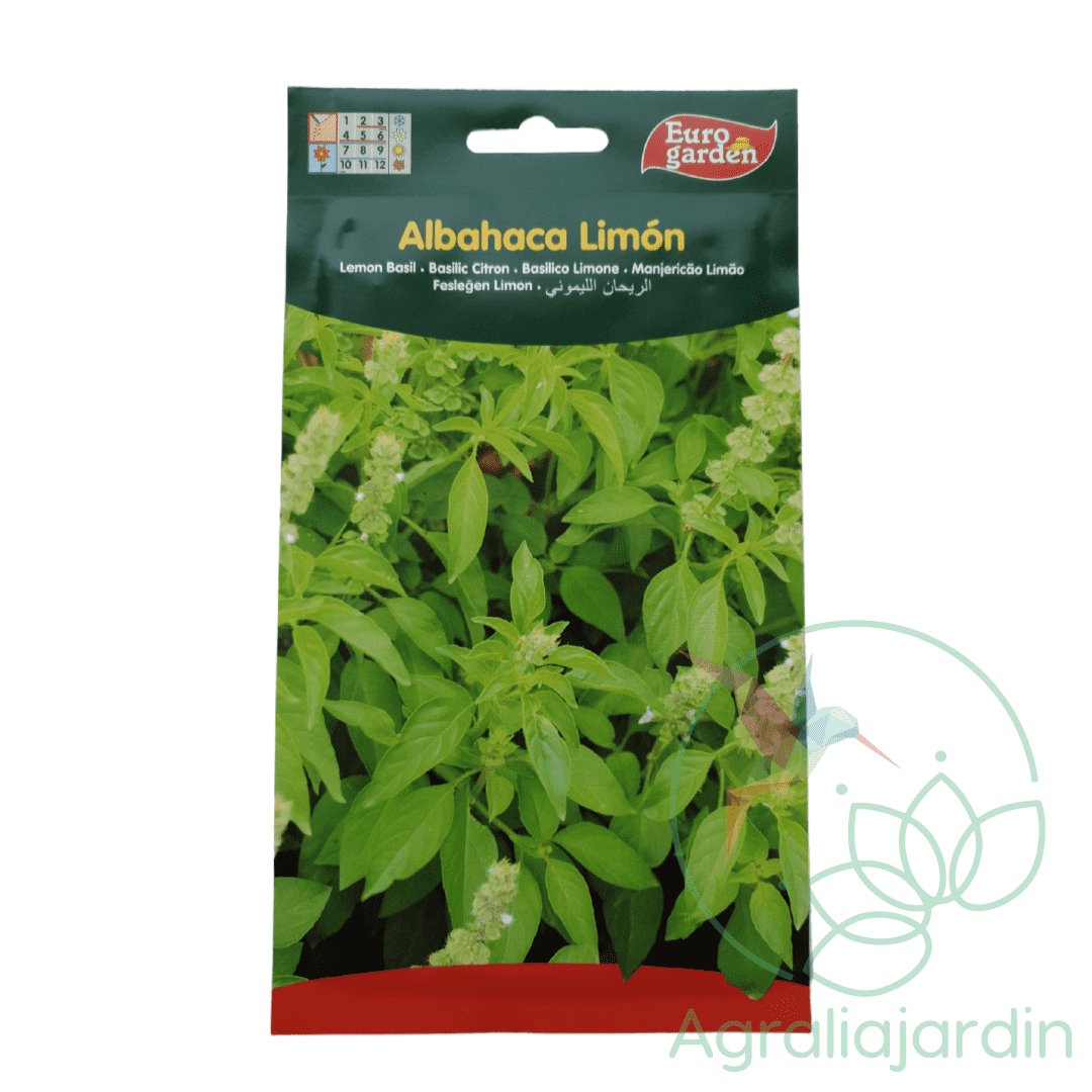 Euro Garden Lemon Basil Seeds - LGC