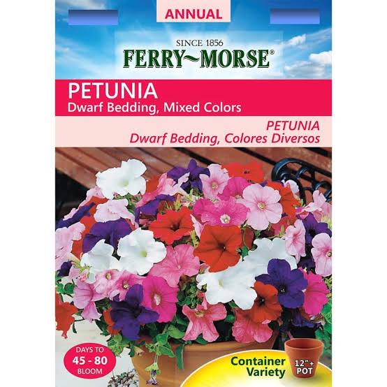 Ferry Morse Petunia - LGC