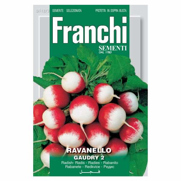 Franchi Ravanello Gaudry 2 Radish Seeds - LGC