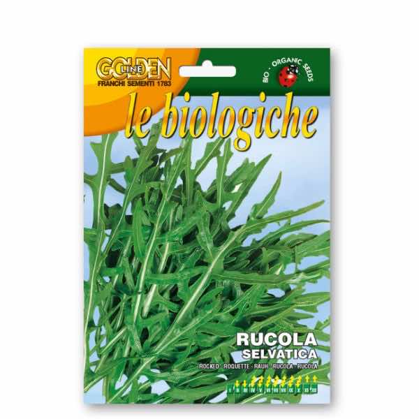 Golden Line Rucola Coltivata Rocket Seeds - LGC