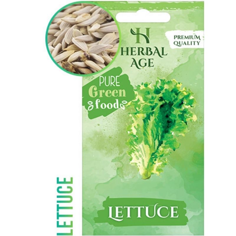 HERBAL AGE PURE GREEN FOOD LETTUCE - Savvy Gardens Centre