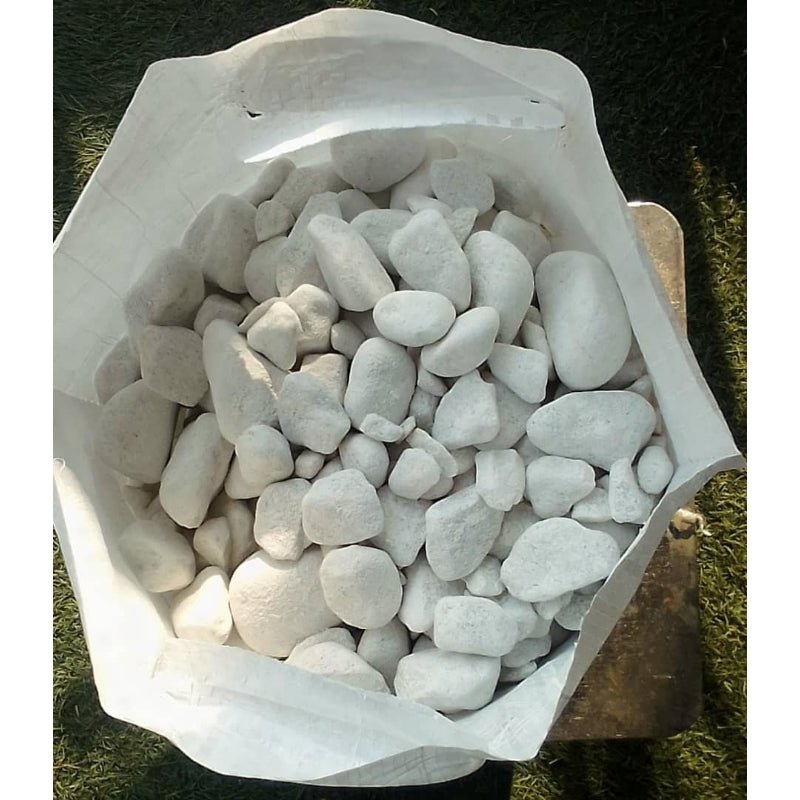 NATURAL DECORATIVE WHITE PEBBLE STONES - Savvy Gardens Centre