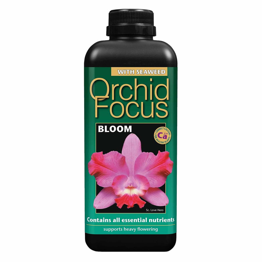 Orchid Focus Bloom 300ml - LGC