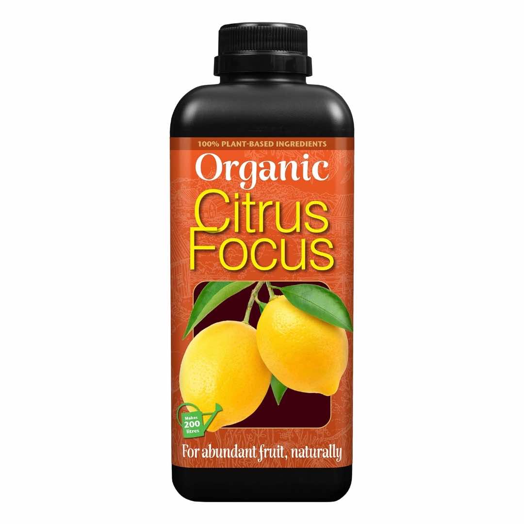 Organic Citrus Focus 1 Litre - LGC