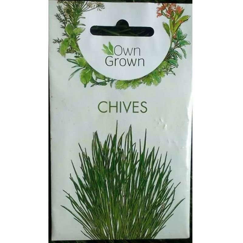 OWN GROWN CHIVES - Savvy Gardens Centre