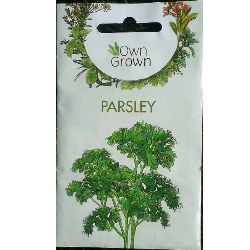 OWN GROWN PARSLEY - Savvy Gardens Centre
