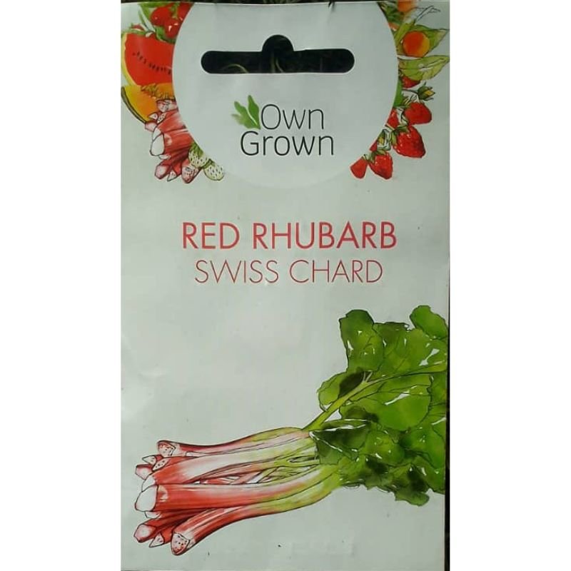OWN GROWN RED RHUBARB - Savvy Gardens Centre