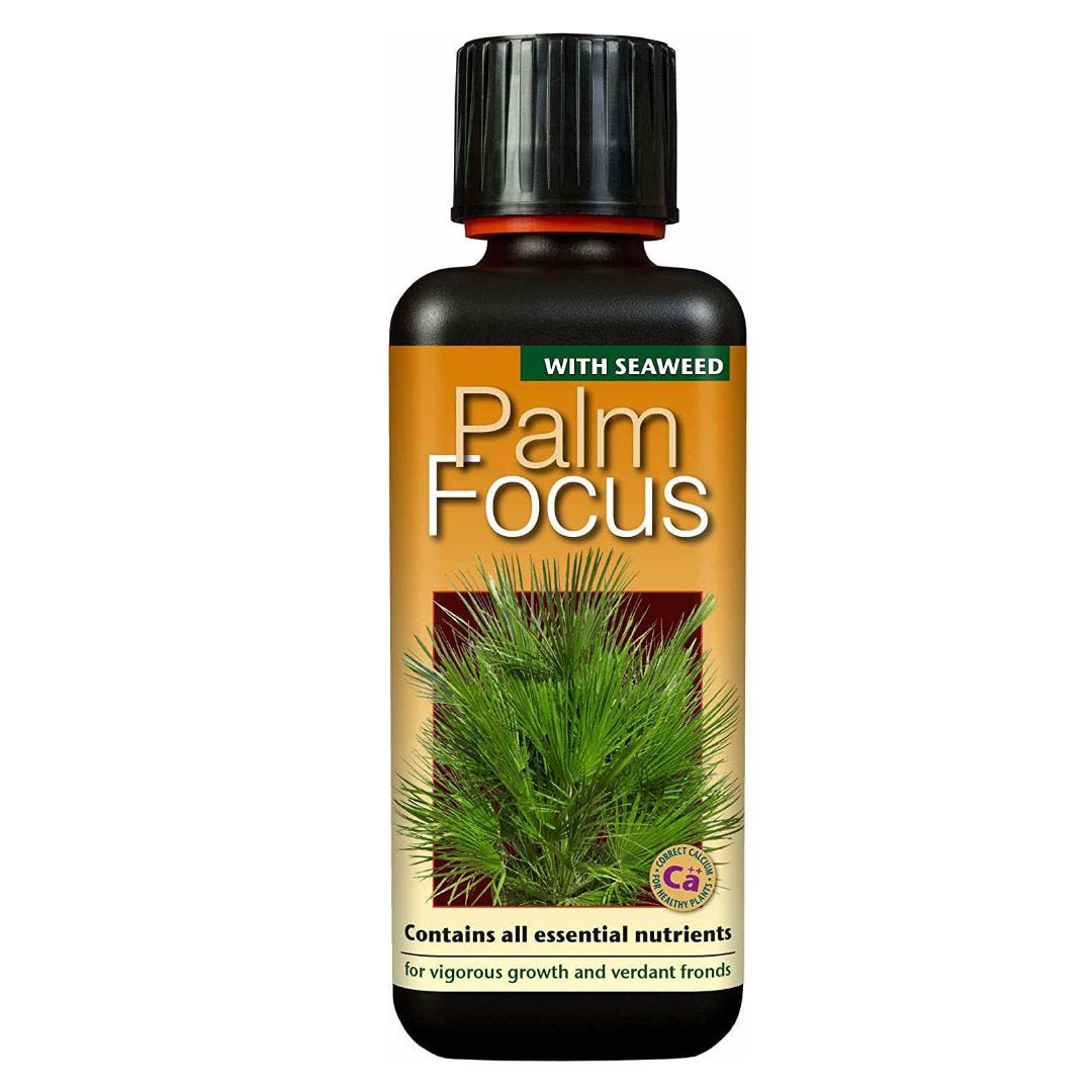 PALM FOCUS 300ML - LGC