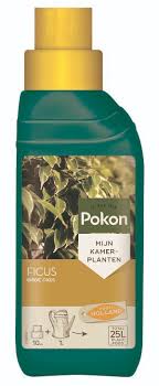 Pokon Ficus Feed - LGC