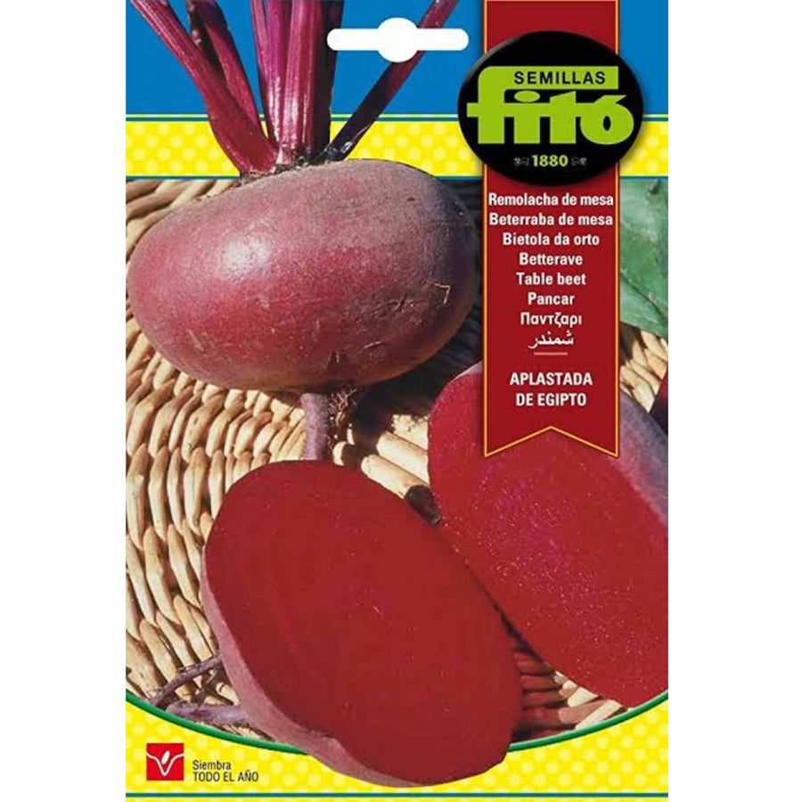 Semillas Fito Aplastada De Egipto Beetroot Seeds - LGC