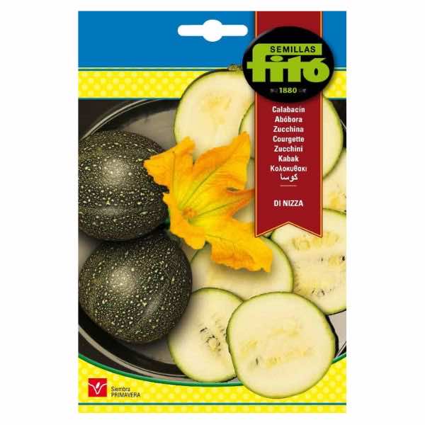 Semillas Fito Di Nizza Zucchini Seeds - LGC