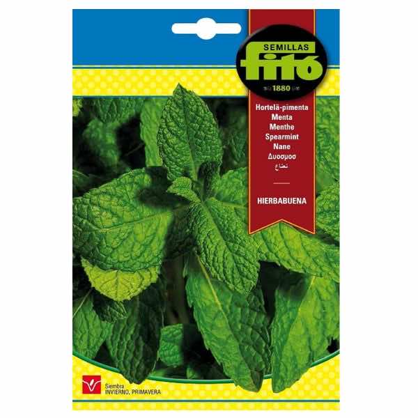 Semillas Fito Hierbabuena Spearmint Seeds - LGC