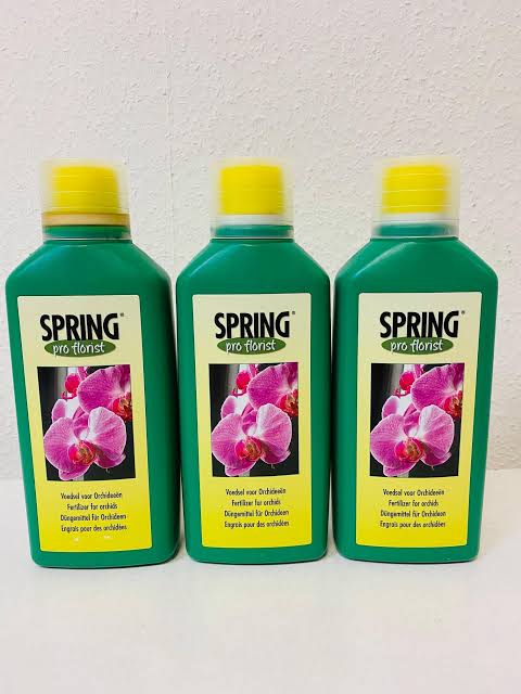 Spring Pro Florist Vanda Orchid Feed - LGC