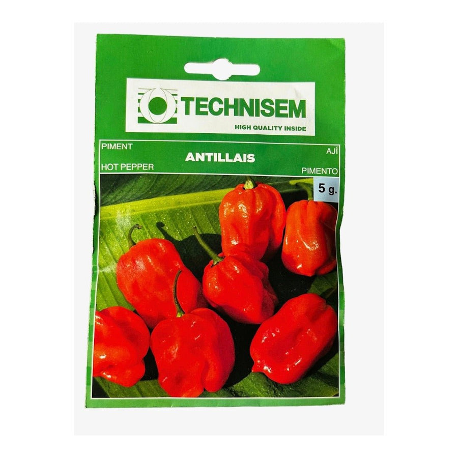 Technisem Hot Pepper Antillais - LGC