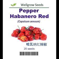 Wellgrow Habanero Pepper - LGC