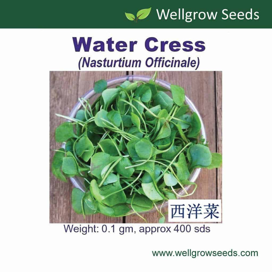 Wellgrow Water Cress Seeds - LGC