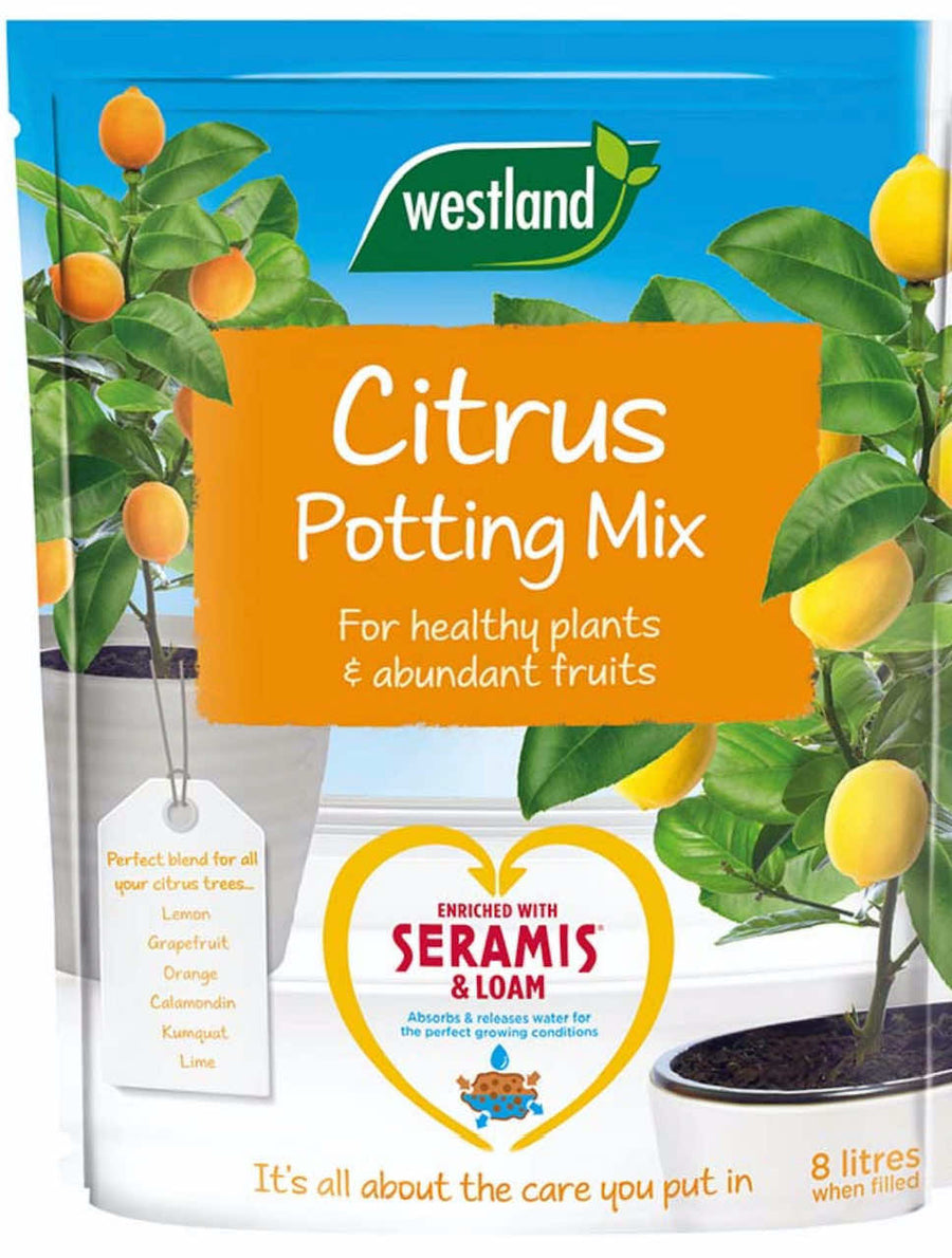 westland citrus potting mix Westland Citrus Potting Mix 8L